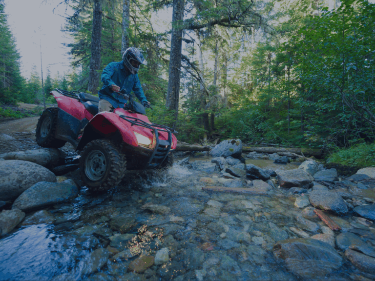 ATV rider crossing a creek surrounded by trees and summer sunshine.